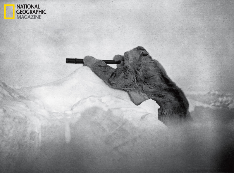 Illustration for article titled Photos of History's Greatest Failed Explorers (And Their Legacies)